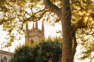 Sonder Chelsea Green - Booking Information