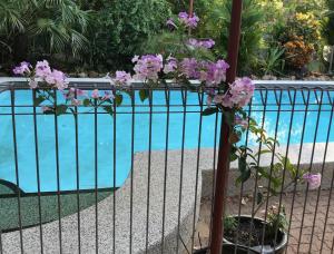 Spring Homestead - Contact Information