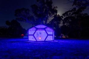 Taj Mahal Upgraded Hex Bubble - Pets and Special Requests