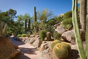 The Canyon Suites at The Phoenician, a Luxury Collection Resort, Scottsdale - Exclusive Amenities and Services