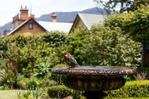 The Corinda Collection - Policies and Regulations