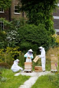 The Montague On The Gardens - Additional Services and Offerings