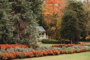 The Mountain View Cottage - Booking Information