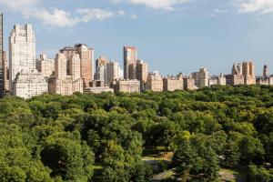 The Ritz-Carlton New York, Central Park - Room Amenities