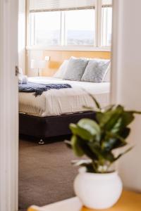 York Cove Hotel - Policies and Services