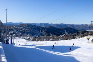 Arlberg Hotel Mt. Buller - Accessibility Considerations