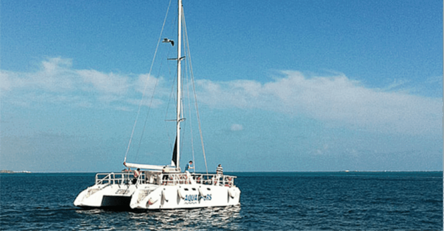 Cancún: Isla Mujeres Catamaran Sail, Snorkel & Dolphin Swim - Activity Overview