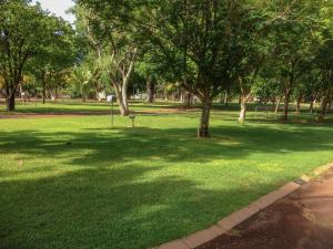 Ivanhoe Resort - Languages and Accessibility