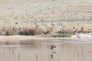 Jamieson Valley Retreat - Frequently Asked Questions