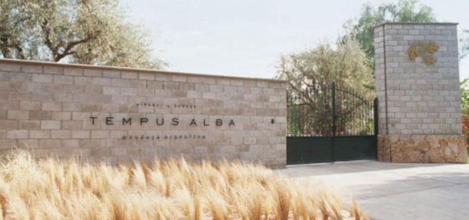 Mendoza: Wine Roads Half‐Day Tour With Regional Lunch - Meal and Wine Pairing