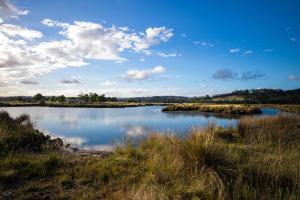 Pelican Point Sanctuary - Frequently Asked Questions