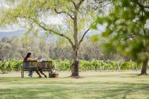 Spicers Vineyards Estate - Surrounding Area Attractions