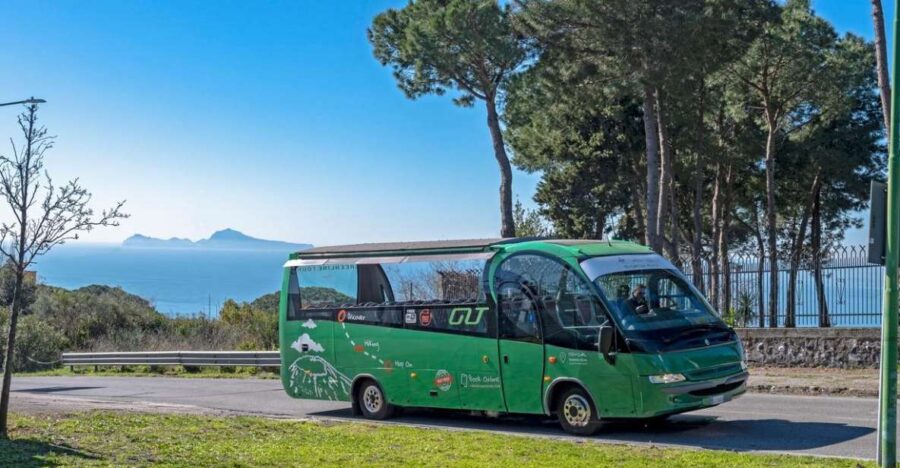 From Rome: Pompeii and Vesuvio Guided Day Trip With Lunch