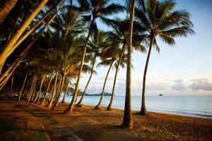 Alamanda Palm Cove by Lancemore Review - Key Points