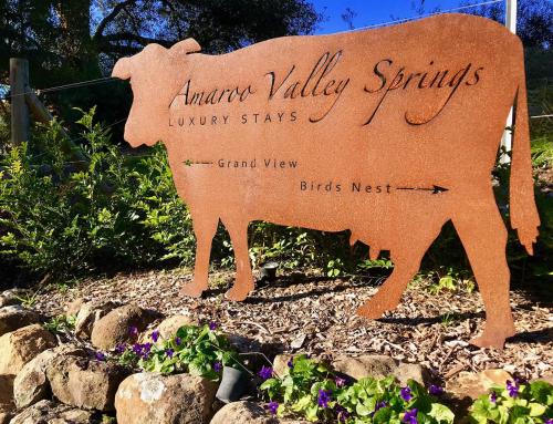 Amaroo Valley Springs - Key Points