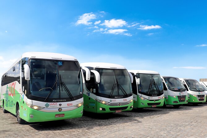 Arrival Transfer From João Pessoa Airport to Your Hotel