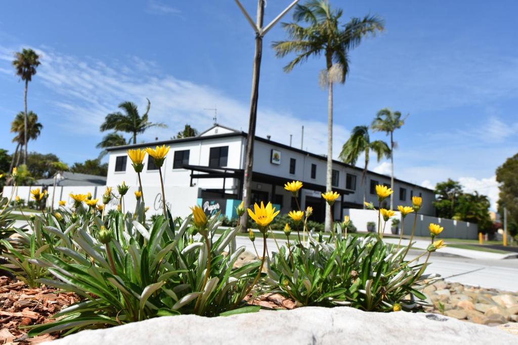 Ballina Homestead Motel Review