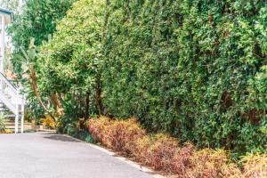 Balmoral Queenslander - Key Points