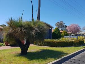 Banksia Motel - About Your Stay