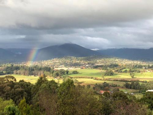 Beauty of Healesville - Key Points