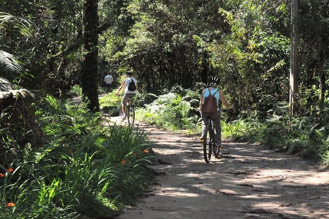 Bicycle Rental in Horto Florestal – Campos Do Jordão