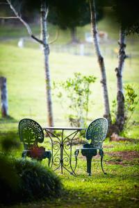 Birdsong Bellingen Farm - Key Points