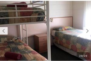 Black Swan Motor Inn - Key Points