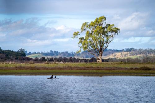 Blackwood Park Cottages Mole Creek Review