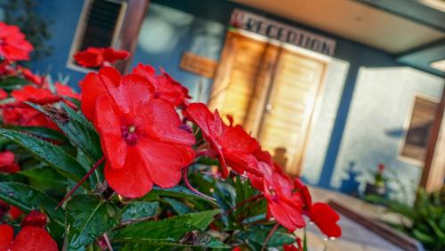 Blue Summit Hideaway - Key Points