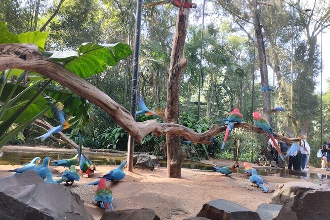 Brazilian Falls, Parque Das Aves and Itaipu, Hotels in Brazil