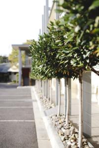 Brooklands Of Mornington Review