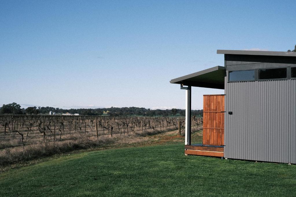 Buller Wines - Key Points