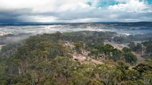 CABN Hahndorf Review