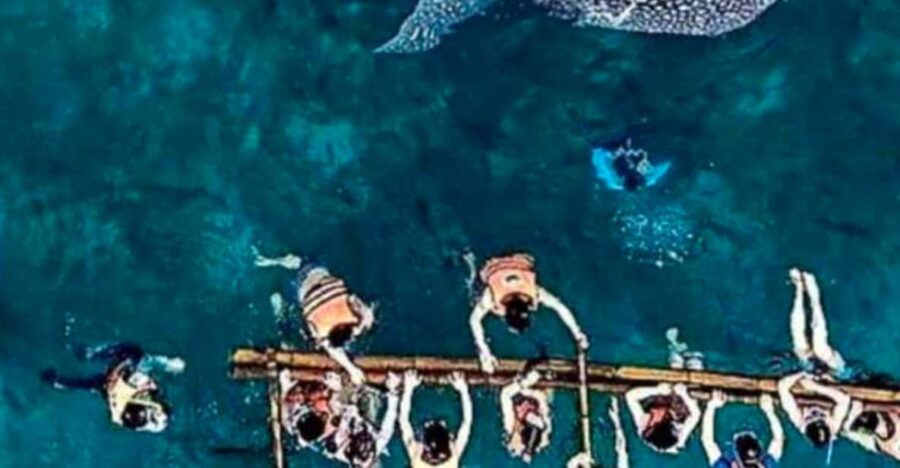 Cebu: Oslob Whale Shark, Sumilon, Ruins, Simala Church
