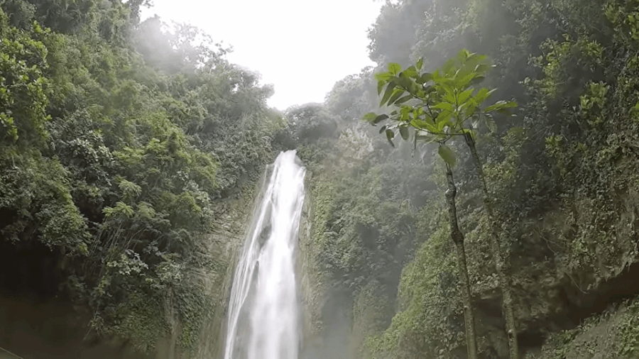 Cebu: Sardine Run Snorkeling, Mantayupan Falls & ATV Thrills