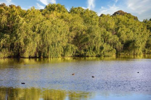 Club Wyndham Ballarat, Trademark Collection by Wyndham Review