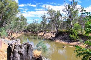 CocknBull Boutique Hotel Echuca - Key Points