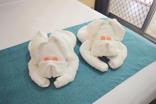 Coconut Grove Holiday Apartments - Key Points