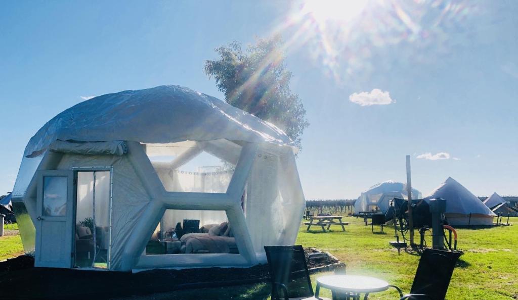 Best Hotels In Coonawarra