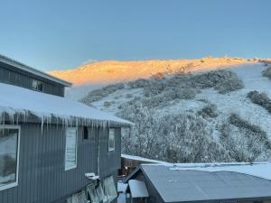 Cooroona Alpine Lodge - Key Points