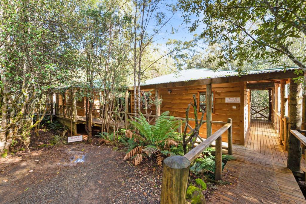 Cradle Forest Inn - Key Points