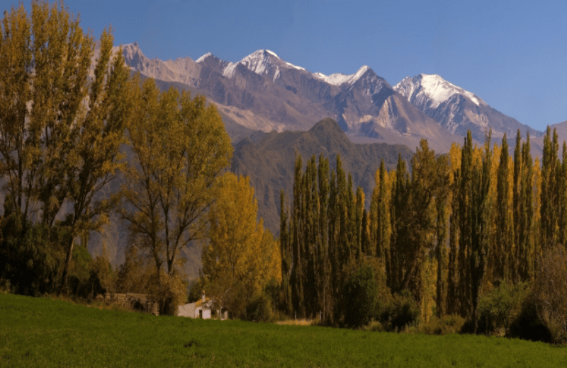 Day Trip to Cachi From Salta