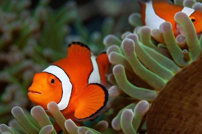 Discover Scuba Diving - Good To Know