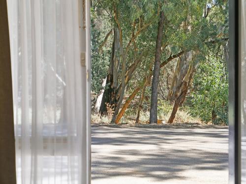 Discovery Resorts - Wilpena Pound - Key Points