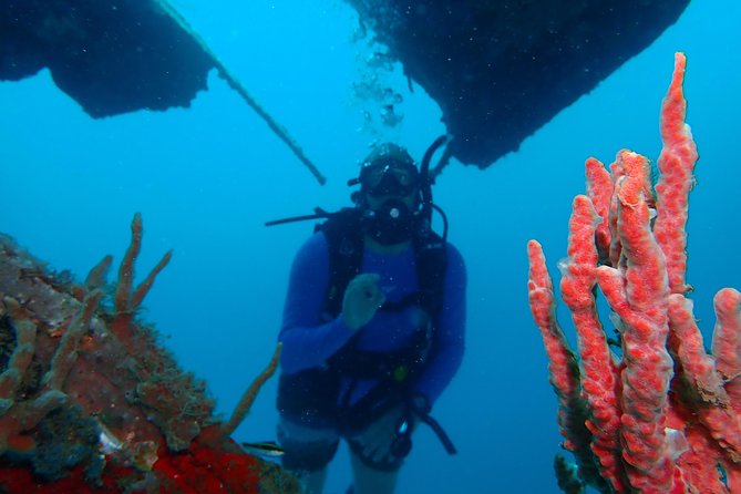 Diving Trip for Certified Divers.