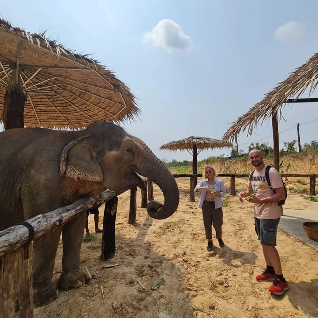 Elephant Sanctuary Cambodia, Pickup and Drop off Included