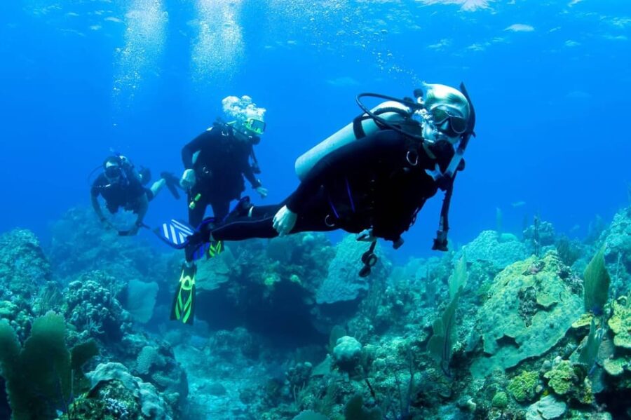 Ensenada: SCUBA Diving Introduction