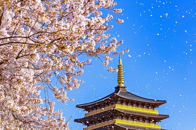 Full Day Gyeongju Cherry Blossom Tour From Busan