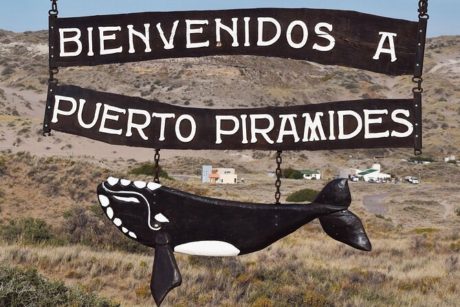 Full Day Peninsula Valdes Experience - Optional Whale Watching