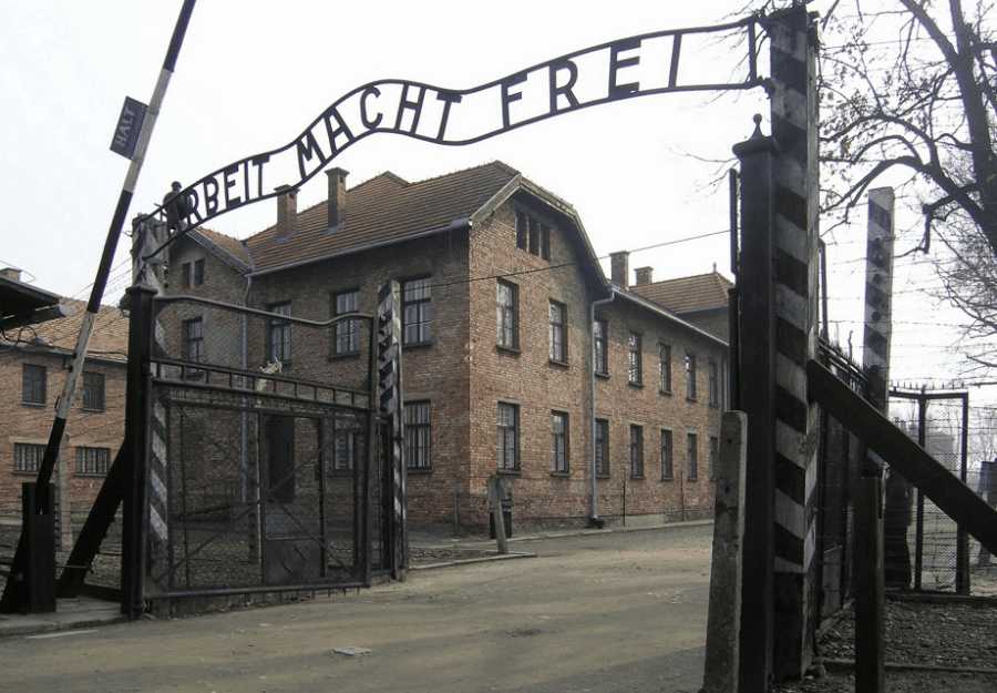 Full-Day Private Trip From Prague to Auschwitz - Birkenau - Trip Overview